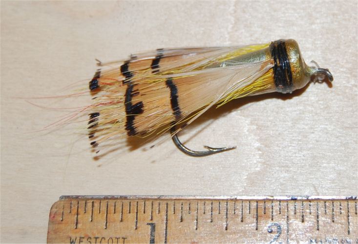 South Bend - South Bend Callmac Bug